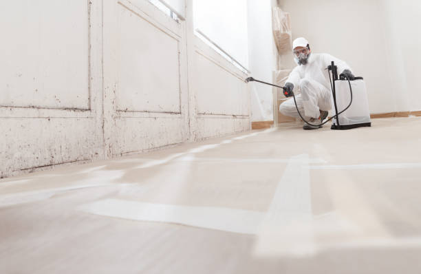 24/7 Emergency Crawl Space Mold Remediation experts in Capitol Heights, MD